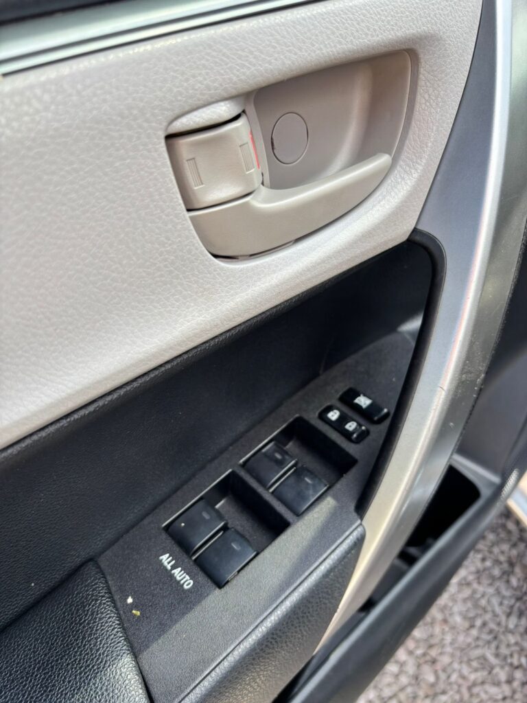 666863462_1569883298261456_6248932148967474679_n